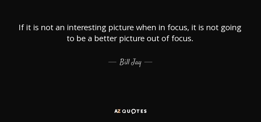 If it is not an interesting picture when in focus, it is not going to be a better picture out of focus. - Bill Jay