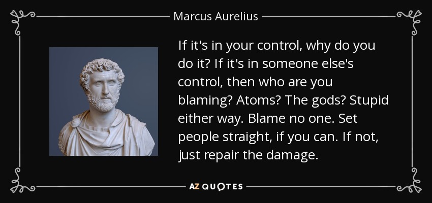 If it's in your control, why do you do it? If it's in someone else's control, then who are you blaming? Atoms? The gods? Stupid either way. Blame no one. Set people straight, if you can. If not, just repair the damage. - Marcus Aurelius