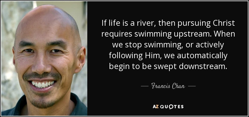 If life is a river, then pursuing Christ requires swimming upstream. When we stop swimming, or actively following Him, we automatically begin to be swept downstream. - Francis Chan