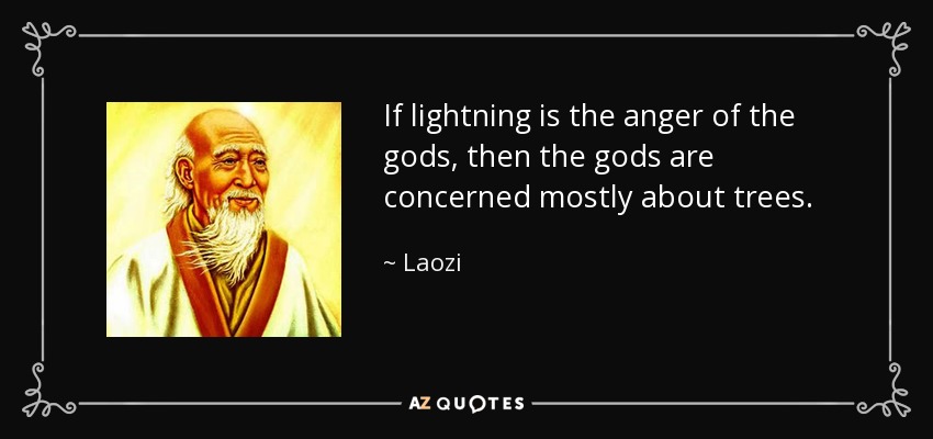 If lightning is the anger of the gods, then the gods are concerned mostly about trees. - Laozi