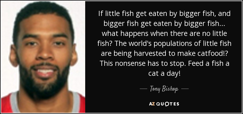 If little fish get eaten by bigger fish, and bigger fish get eaten by bigger fish... what happens when there are no little fish? The world's populations of little fish are being harvested to make catfood!? This nonsense has to stop. Feed a fish a cat a day! - Tony Bishop