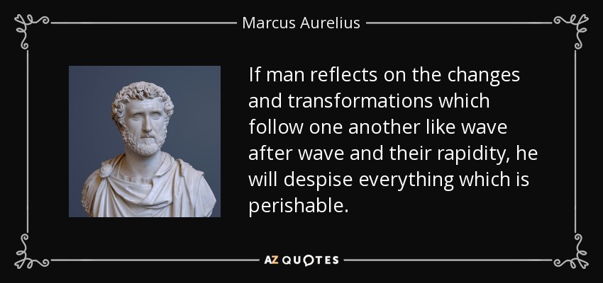 If man reflects on the changes and transformations which follow one another like wave after wave and their rapidity, he will despise everything which is perishable. - Marcus Aurelius