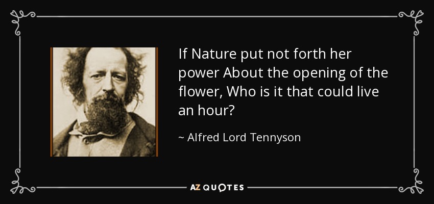 If Nature put not forth her power About the opening of the flower, Who is it that could live an hour? - Alfred Lord Tennyson