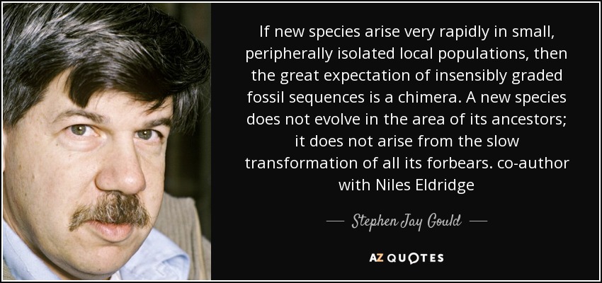 If new species arise very rapidly in small, peripherally isolated local populations, then the great expectation of insensibly graded fossil sequences is a chimera. A new species does not evolve in the area of its ancestors; it does not arise from the slow transformation of all its forbears. co-author with Niles Eldridge - Stephen Jay Gould