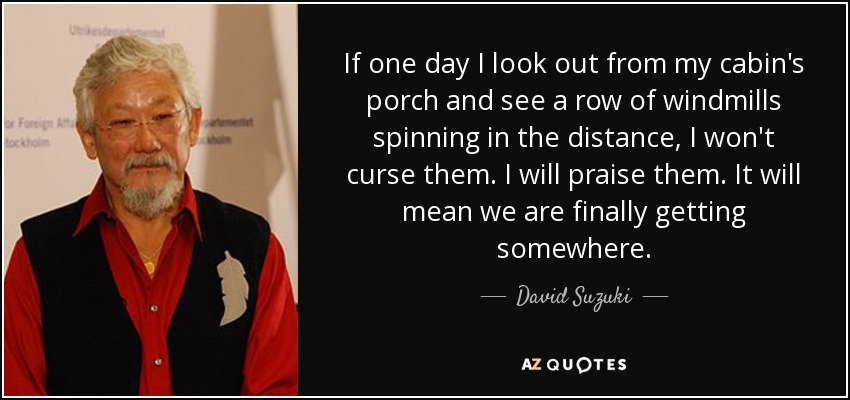 If one day I look out from my cabin's porch and see a row of windmills spinning in the distance, I won't curse them. I will praise them. It will mean we are finally getting somewhere. - David Suzuki