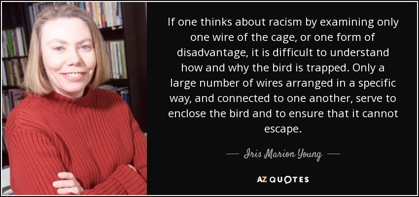 If one thinks about racism by examining only one wire of the cage, or one form of disadvantage, it is difficult to understand how and why the bird is trapped. Only a large number of wires arranged in a specific way, and connected to one another, serve to enclose the bird and to ensure that it cannot escape. - Iris Marion Young