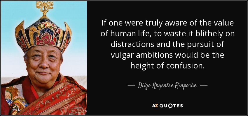 If one were truly aware of the value of human life, to waste it blithely on distractions and the pursuit of vulgar ambitions would be the height of confusion. - Dilgo Khyentse Rinpoche