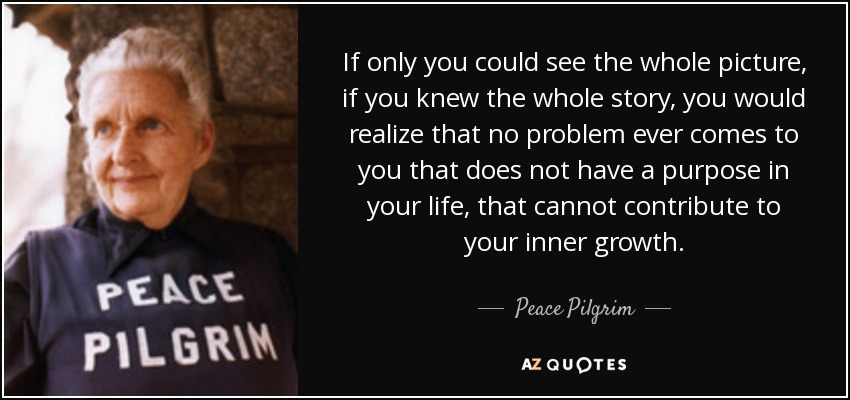 If only you could see the whole picture, if you knew the whole story, you would realize that no problem ever comes to you that does not have a purpose in your life, that cannot contribute to your inner growth. - Peace Pilgrim