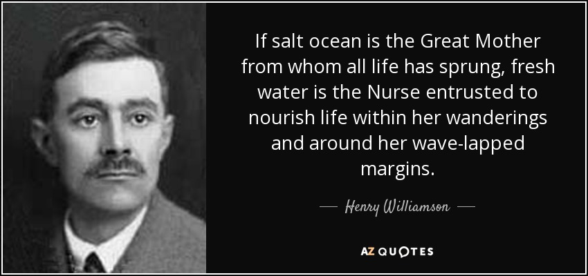 If salt ocean is the Great Mother from whom all life has sprung, fresh water is the Nurse entrusted to nourish life within her wanderings and around her wave-lapped margins. - Henry Williamson