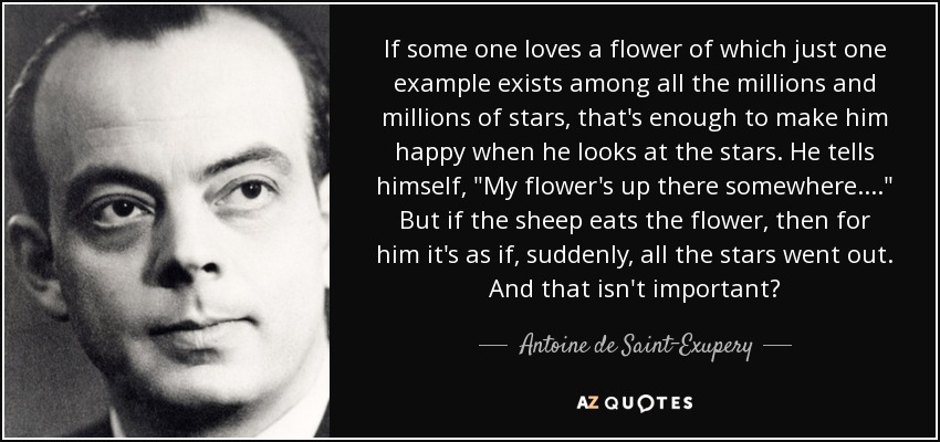 If some one loves a flower of which just one example exists among all the millions and millions of stars, that's enough to make him happy when he looks at the stars. He tells himself, 