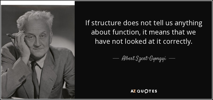 If structure does not tell us anything about function, it means that we have not looked at it correctly. - Albert Szent-Gyorgyi