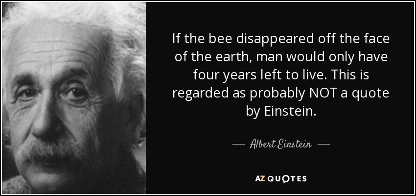 If the bee disappeared off the face of the earth, man would only have four years left to live. This is regarded as probably NOT a quote by Einstein. - Albert Einstein