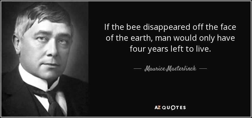 If the bee disappeared off the face of the earth, man would only have four years left to live. - Maurice Maeterlinck