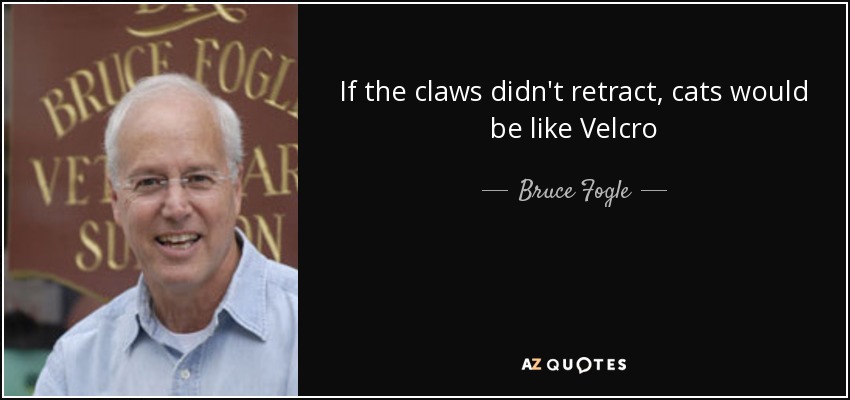 If the claws didn't retract, cats would be like Velcro - Bruce Fogle