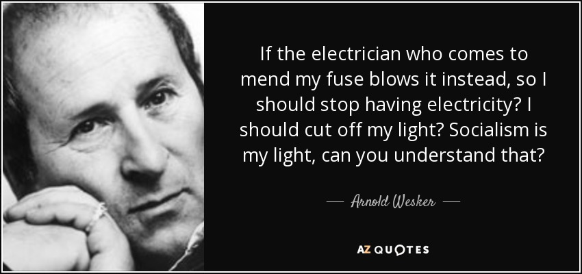 If the electrician who comes to mend my fuse blows it instead, so I should stop having electricity? I should cut off my light? Socialism is my light, can you understand that? - Arnold Wesker