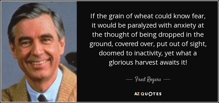 If the grain of wheat could know fear, it would be paralyzed with anxiety at the thought of being dropped in the ground, covered over, put out of sight, doomed to inactivity, yet what a glorious harvest awaits it! - Fred Rogers