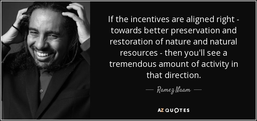 If the incentives are aligned right - towards better preservation and restoration of nature and natural resources - then you'll see a tremendous amount of activity in that direction. - Ramez Naam