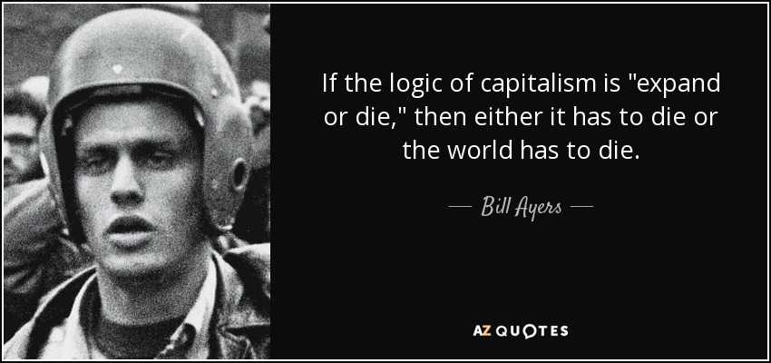 If the logic of capitalism is 
