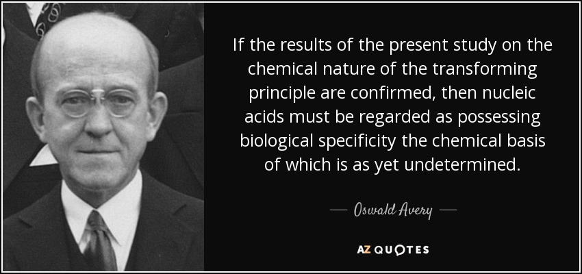 If the results of the present study on the chemical nature of the transforming principle are confirmed, then nucleic acids must be regarded as possessing biological specificity the chemical basis of which is as yet undetermined. - Oswald Avery