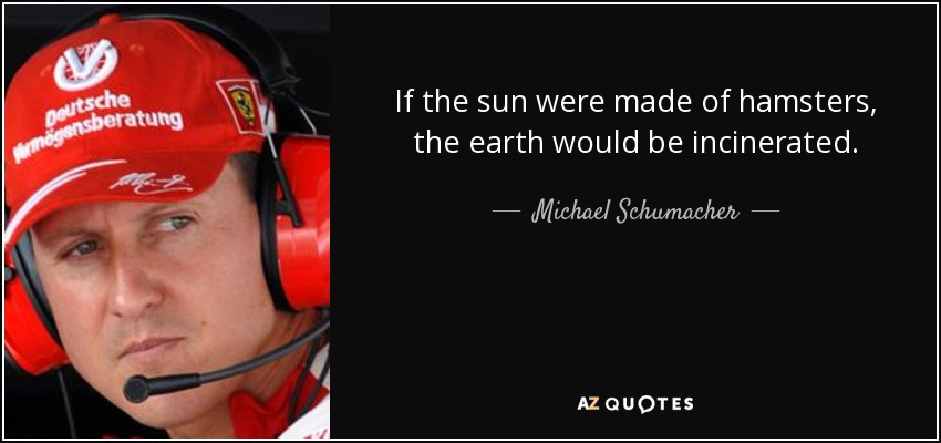 If the sun were made of hamsters, the earth would be incinerated. - Michael Schumacher