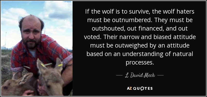 If the wolf is to survive, the wolf haters must be outnumbered. They must be outshouted, out financed, and out voted. Their narrow and biased attitude must be outweighed by an attitude based on an understanding of natural processes. - L. David Mech