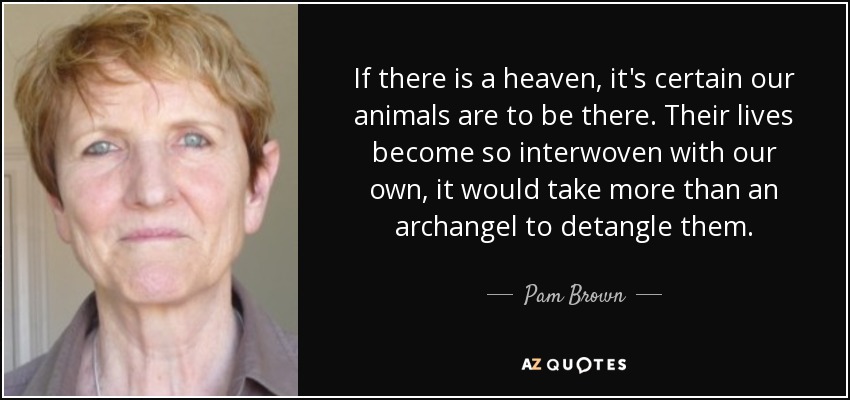 If there is a heaven, it's certain our animals are to be there. Their lives become so interwoven with our own, it would take more than an archangel to detangle them. - Pam Brown