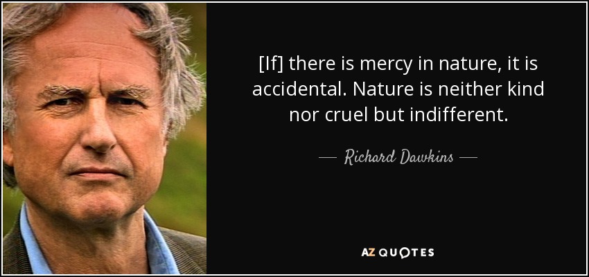 [If] there is mercy in nature, it is accidental. Nature is neither kind nor cruel but indifferent. - Richard Dawkins