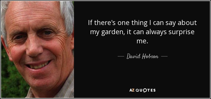 If there's one thing I can say about my garden, it can always surprise me. - David Hobson