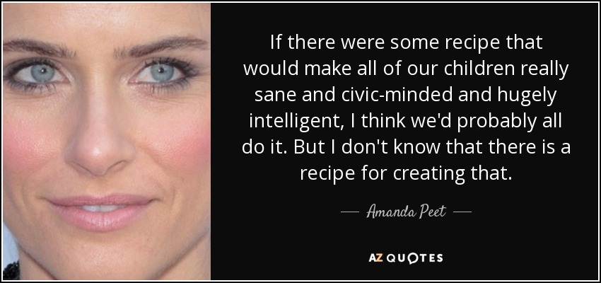 If there were some recipe that would make all of our children really sane and civic-minded and hugely intelligent, I think we'd probably all do it. But I don't know that there is a recipe for creating that. - Amanda Peet