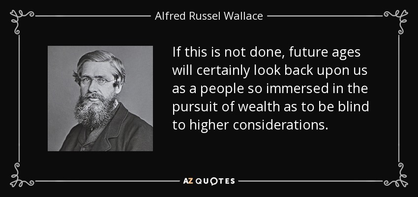If this is not done, future ages will certainly look back upon us as a people so immersed in the pursuit of wealth as to be blind to higher considerations. - Alfred Russel Wallace