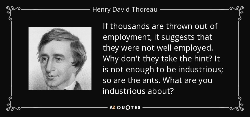 If thousands are thrown out of employment, it suggests that they were not well employed. Why don't they take the hint? It is not enough to be industrious; so are the ants. What are you industrious about? - Henry David Thoreau