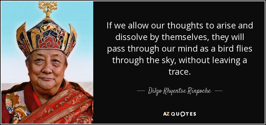 If we allow our thoughts to arise and dissolve by themselves, they will pass through our mind as a bird flies through the sky, without leaving a trace. - Dilgo Khyentse Rinpoche