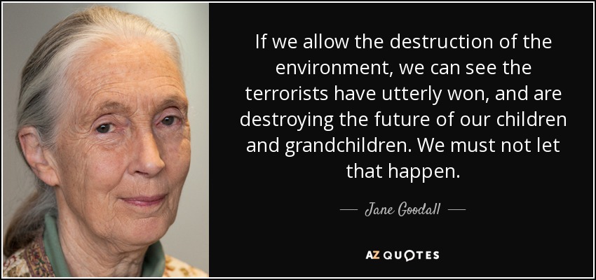 If we allow the destruction of the environment, we can see the terrorists have utterly won, and are destroying the future of our children and grandchildren. We must not let that happen. - Jane Goodall