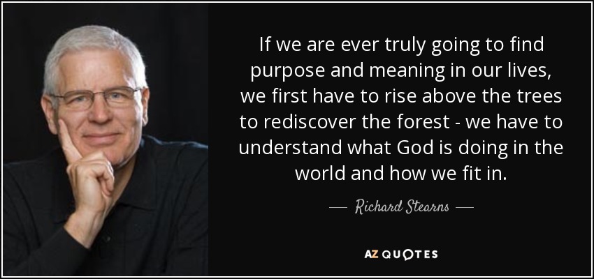 If we are ever truly going to find purpose and meaning in our lives, we first have to rise above the trees to rediscover the forest - we have to understand what God is doing in the world and how we fit in. - Richard Stearns