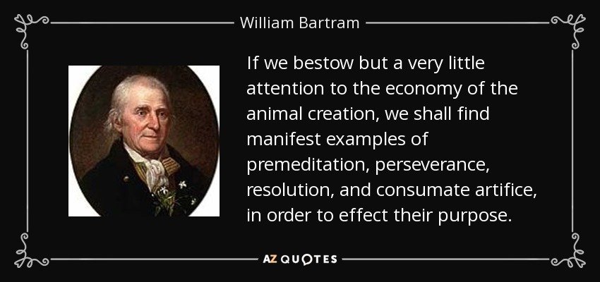 If we bestow but a very little attention to the economy of the animal creation, we shall find manifest examples of premeditation, perseverance, resolution, and consumate artifice, in order to effect their purpose. - William Bartram