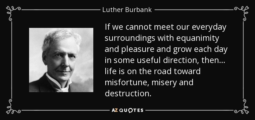 If we cannot meet our everyday surroundings with equanimity and pleasure and grow each day in some useful direction, then... life is on the road toward misfortune, misery and destruction. - Luther Burbank