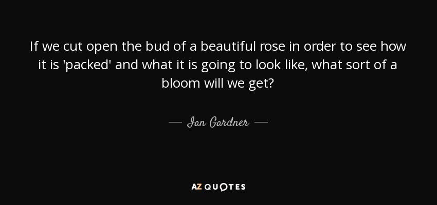 If we cut open the bud of a beautiful rose in order to see how it is 'packed' and what it is going to look like, what sort of a bloom will we get? - Ian Gardner