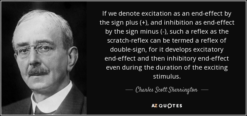 If we denote excitation as an end-effect by the sign plus (+), and inhibition as end-effect by the sign minus (-), such a reflex as the scratch-reflex can be termed a reflex of double-sign, for it develops excitatory end-effect and then inhibitory end-effect even during the duration of the exciting stimulus. - Charles Scott Sherrington