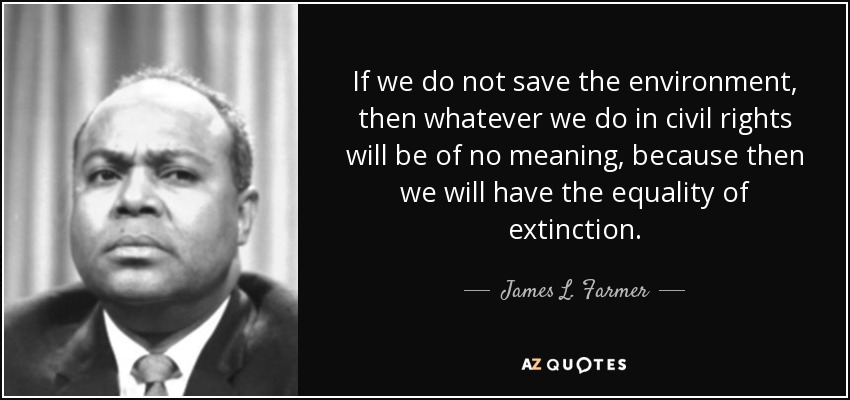 If we do not save the environment, then whatever we do in civil rights will be of no meaning, because then we will have the equality of extinction. - James L. Farmer, Jr.