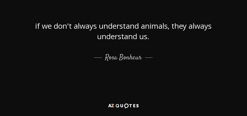 if we don't always understand animals, they always understand us. - Rosa Bonheur