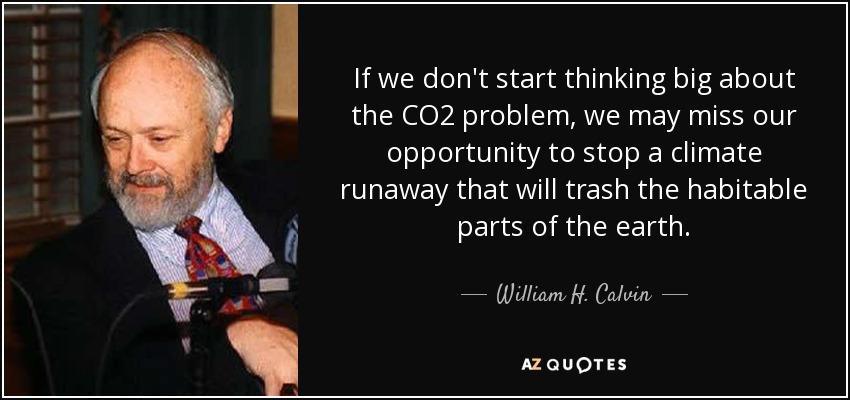 If we don't start thinking big about the CO2 problem, we may miss our opportunity to stop a climate runaway that will trash the habitable parts of the earth. - William H. Calvin