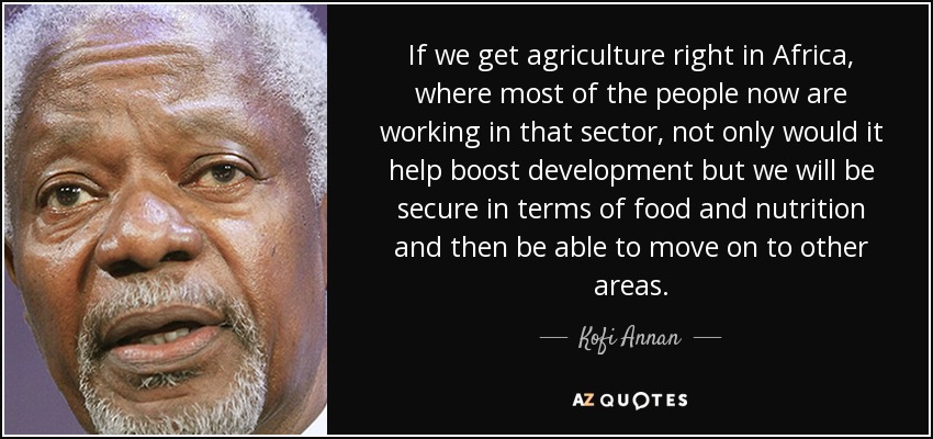 If we get agriculture right in Africa, where most of the people now are working in that sector, not only would it help boost development but we will be secure in terms of food and nutrition and then be able to move on to other areas. - Kofi Annan
