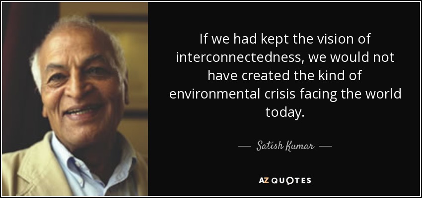 If we had kept the vision of interconnectedness, we would not have created the kind of environmental crisis facing the world today. - Satish Kumar