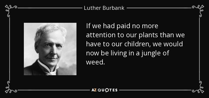If we had paid no more attention to our plants than we have to our children, we would now be living in a jungle of weed. - Luther Burbank