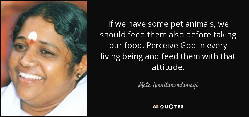 If we have some pet animals, we should feed them also before taking our food. Perceive God in every living being and feed them with that attitude. - Mata Amritanandamayi