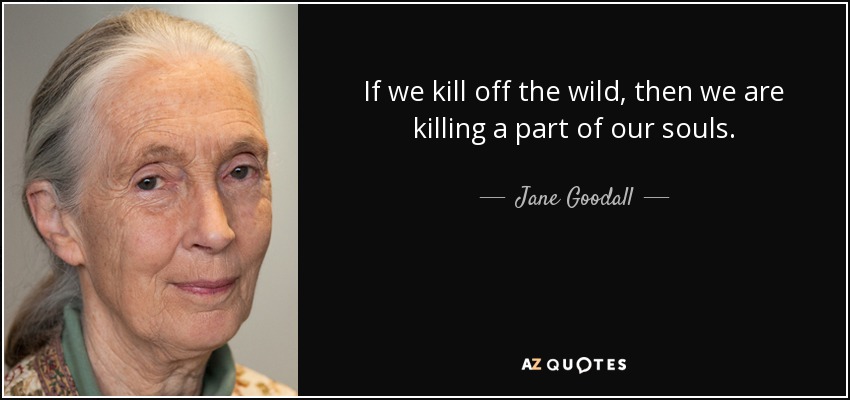 If we kill off the wild, then we are killing a part of our souls. - Jane Goodall
