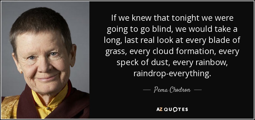 If we knew that tonight we were going to go blind, we would take a long, last real look at every blade of grass, every cloud formation, every speck of dust, every rainbow, raindrop-everything. - Pema Chodron