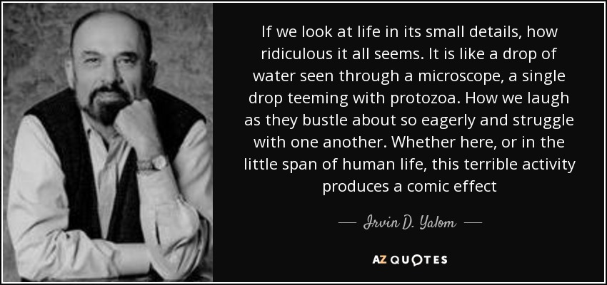 If we look at life in its small details, how ridiculous it all seems. It is like a drop of water seen through a microscope, a single drop teeming with protozoa. How we laugh as they bustle about so eagerly and struggle with one another. Whether here, or in the little span of human life, this terrible activity produces a comic effect - Irvin D. Yalom