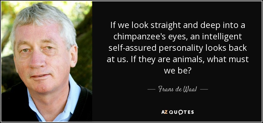 If we look straight and deep into a chimpanzee's eyes, an intelligent self-assured personality looks back at us. If they are animals, what must we be? - Frans de Waal