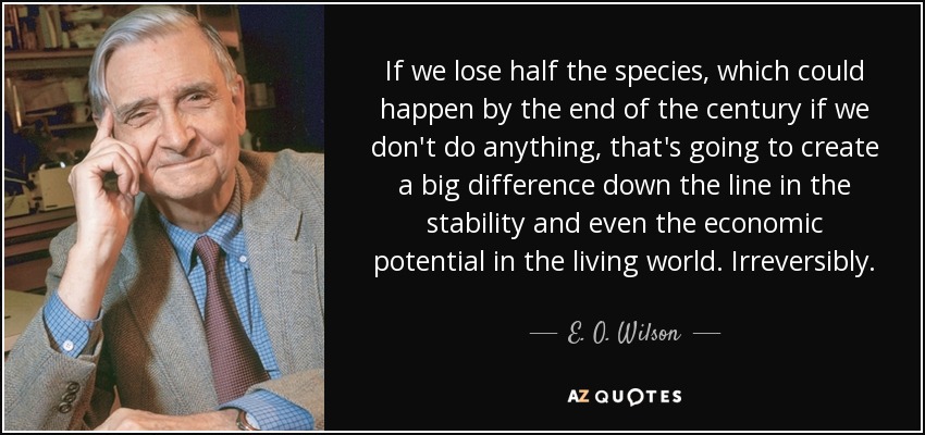 If we lose half the species, which could happen by the end of the century if we don't do anything, that's going to create a big difference down the line in the stability and even the economic potential in the living world. Irreversibly. - E. O. Wilson